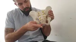 Halebenssmerter - Skævt Haleben - Fald på Halebenet - Aarhus Osteopati og Fysioterapi