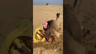 تُسمع أصوات غريبة من القدر. كل من الصبي والفتاة محاصران في الصحراء.