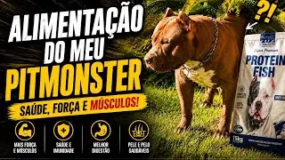ALIMENTAÇÃO DO MEU PITMONSTER