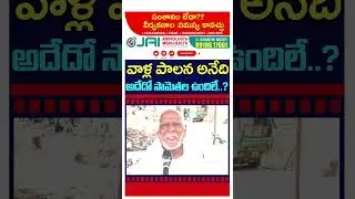 Old Man Counter On TDP Ruling : #shorts #pdtvnews