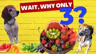 3 Best Fruits for Dogs