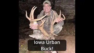 Iowa Urban Giant Buck