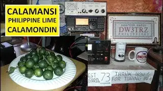 Calamondin Tuesday | Test Run ng Bagong External Cam | Ham Net Philipines with Poochie DU4PGS