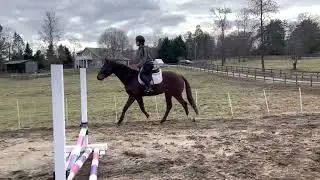 Shift&rsquo;n Gears &ldquo;Gary&rdquo; with a junior rider