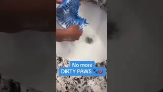 The fabulous paw cleaner cup is very useful for after muddy walks get your own at yourpets24.com!