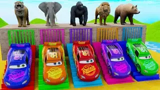 Long Slide Game with Bear, Elephant, Gorilla,  & Tiger 🛝 | Funny 3D Animal Game