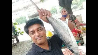 Fish Market Thane Flower Vally by Life With Tushar. Pomphret, Prawns, Surmai, Mushi and many more...