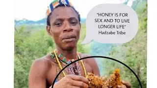 HADZABE EAT HONEY TO INCREASE SEX DESIRE,HUNTING POWERS AND LIVE LONGER _ SEE THEIR LIFE