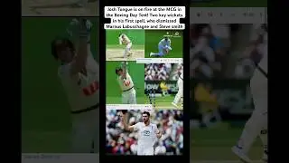 Josh Tongue destroys Australian middle order batsman&rsquo;s #joshtongue #stevesmith #ashes