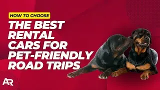 The Best Rental Cars for Pet-Friendly Road Trips | AutoRentals.com