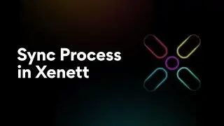Sync Process in Xenett