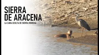 MICRO-TEASER 3 - Sierra de Aracena