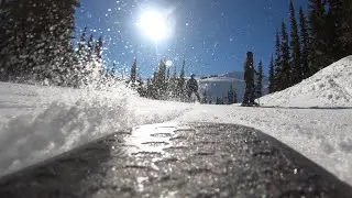 whistleR lifE