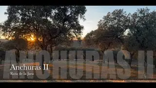 Anchuras II   4K