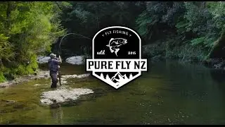 PURE FLY NZ - Teaser Clip