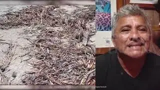APARECEN MANCHAS DE HIDROCARBUROS EN LAS COSTAS DE #CARMEN; #PEMEX ES EL PRINCIPAL CONTAMINADOR