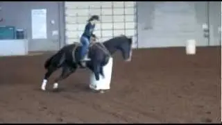 1D Barrel Horse FOR SALE