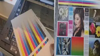 How To Fix Copy Quality Issue on Ricoh Printers