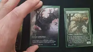 Treefolk Tribal Deck