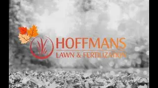 Fall cleanup service, we set your property up for success