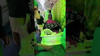 Shahdola Darbar Gujrat | Shahdaula Daryai | Explore Gujrat | #trending #viral #youtubeshorts #shorts