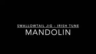 The Swallowtail Jig | Mandolin | Irish Fiddle Tune | E Dorian Scale | 85 BPM