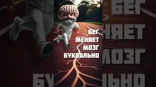 Что это такое BDNF?