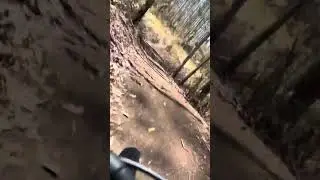 Kyogle MTB. Fireflyer