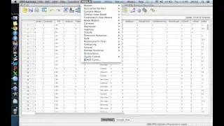 SPSS 4-7 Chi Square Tests