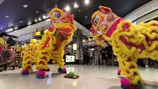 Lion Dance in FOOD MERCHANT Pavilion KL | 新年舞狮表演 2026