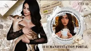11/11 MANIFESTATION PORTAL: step into your highest timeline now w/ @hunkystephaudio