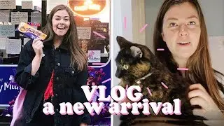 THE ONE WITH THE NEW ARRIVAL | LUCY WOOD