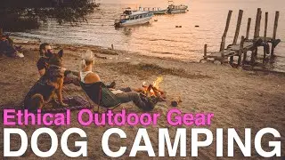 Best Gear for Camping with Your Dog | Outdoor Reflective Collar, Leash, Bandana, and Travel Bed