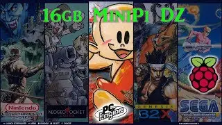 Darish Zone 16gb MiniPi Build - 10,000 Titles
