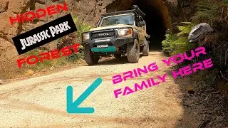 Must see location  | Lithgow Glow Worm Tunnel | Family Weekend Spot