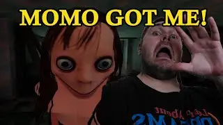 Momo is Here