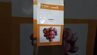 #INRINA#HYBRID#ONION SEEDS 2000 K IN 10GM PACKING