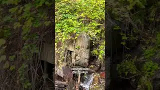 A Peaceful Weekend Trek in Montseny 🌲 | Hidden Nature Near Barcelona #travelvlog
