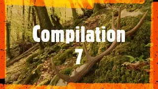 Compilation 7 Zrzuty 2021