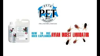 How to use Avian Insect Liquidator | Uses and Benefits explained | Vetafarm | Petsjunction