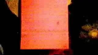 A kid's flipbook.