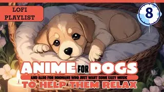 Lofi Sounds for Dogs | Chill Beats and Relaxing Anime Dog Visuals
