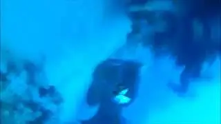 strike in diretta cernia con water wolf a traina col vivo