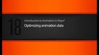 18  Optimizing animation data
