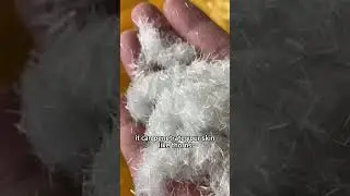 Is this snow edible? ❄️ #awesomethings #factshorts #awesomefacts #facts #popular
