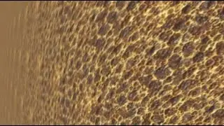 Fred Baker Vs Greg Nash - Electro Shock