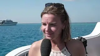 Nager avec les dauphins en Mer Rouge
