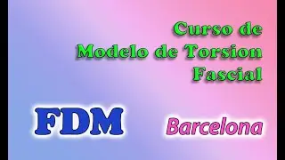Curso de FDM en Barcelona (Modelo de Torcion Fascial)