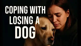 Healing After Dog Loss !
