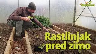 Rastlinjak pred zimo - zadnja opravila